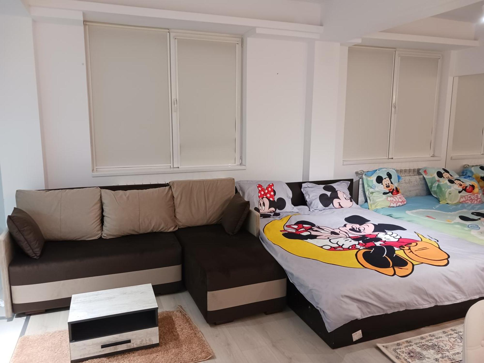 Apartament Myky Mouse Nu Primesc Santieristi Si Petrecareti Bukareszt Zewnętrze zdjęcie